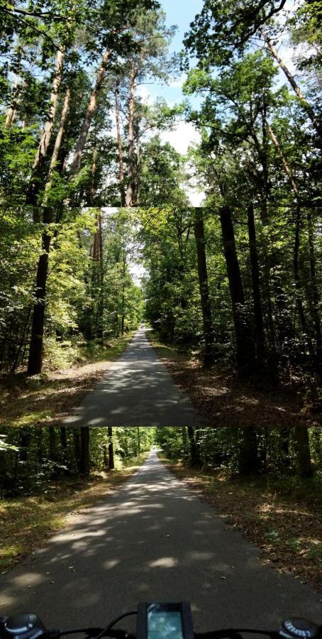 Agroturystyka U Izabelli Niemce Exterior foto